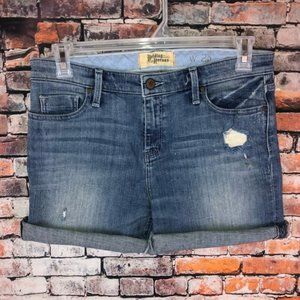 Anthropologie Holding Horses jean shorts sz 28